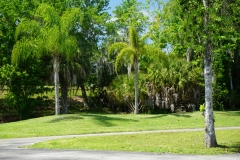 2015-03-28_13-11-59_00033