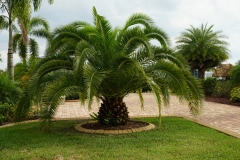 2015-04-20_16-03-37_00187