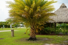 2015-04-20_16-03-54_00188