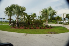 2015-04-20_16-11-29_00195