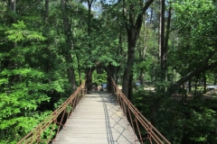 2015-05-10_15-47-18_00231