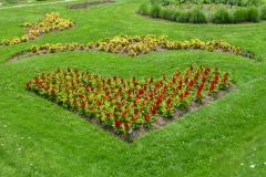 2015-07-13_11-45-03_00325