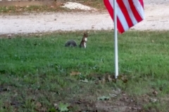 2015-09-10_16-20-07_00660