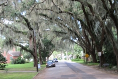 2015-10-04_12-37-07_00716