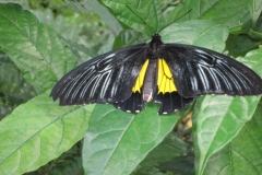 2015-10-08_12-16-40_00723