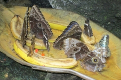 2015-10-08_12-20-27_00728