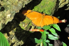 2015-10-08_12-31-16_00732