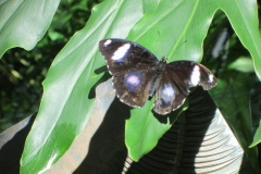 2015-10-08_12-34-19_00735