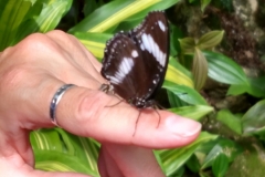 2015-10-08_12-40-27_00746