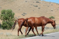 2016-07-15_13-12-51_00012