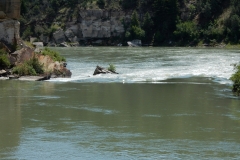 2016-07-18_13-54-45_00020