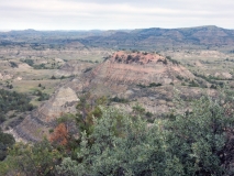 2016-07-02_09-24-17_00019