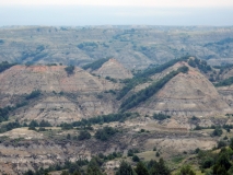 2016-07-02_09-28-39_00024