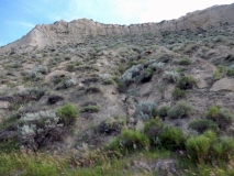 2016-07-02_10-07-49_00072