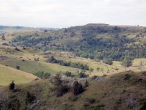 2016-07-02_10-15-15_00086