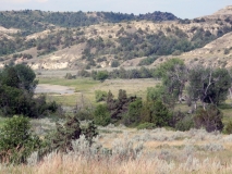 2016-07-02_10-40-43_00124