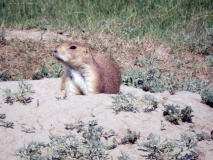 2016-07-02_10-52-10_00129