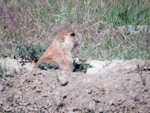 2016-07-02_10-53-56_00131