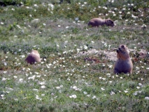 2016-07-02_10-54-29_00132