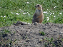 2016-07-02_10-54-37_00133