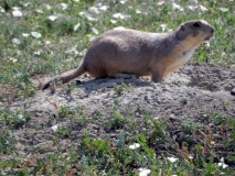 2016-07-02_10-55-25_00134