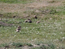 2016-07-02_10-58-01_00135