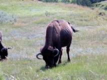 2016-07-02_11-14-09_00143