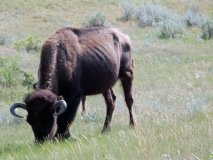 2016-07-02_11-14-24_00144