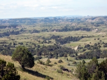 2016-07-02_11-27-36_00162