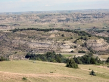 2016-07-02_11-42-25_00174