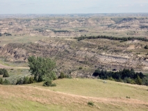 2016-07-02_11-43-05_00180