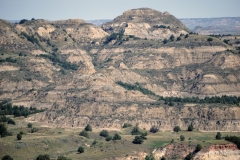 2016-07-02_11-49-26_00187