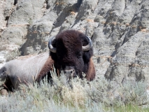 2016-07-02_12-26-21_00198