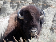 2016-07-02_12-27-04_00201