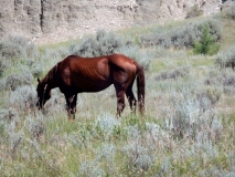 2016-07-02_12-27-54_00202