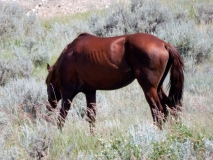 2016-07-02_12-28-04_00203