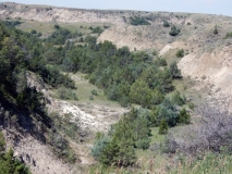 2016-07-02_12-36-36_00212