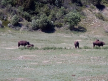 2016-07-02_12-49-17_00225