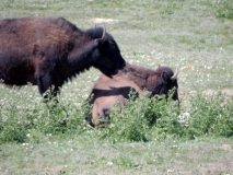 2016-07-02_12-49-24_00226