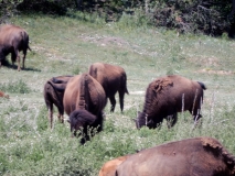 2016-07-02_12-49-39_00228