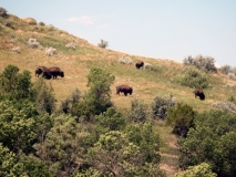 2016-07-02_12-49-58_00229