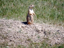 2016-07-02_12-50-42_00231