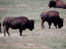 2016-07-02_12-51-42_00233