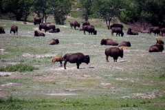 2016-07-02_13-01-50_00234