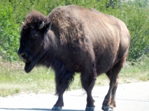 2016-07-02_13-04-31_00240