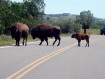 2016-07-02_13-04-51_00241