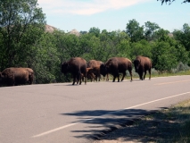 2016-07-02_13-06-00_00243