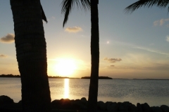 2015-04-15_19-31-05_00092