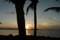 2015-04-15_19-33-24_00096