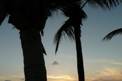 2015-04-15_19-36-55_00104